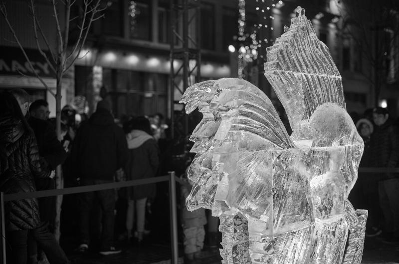 Máy ảnh Leica M10 Monochrom 