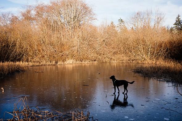 Máy ảnh Leica M10 Edition Zagato (Body Only) | Chính hãng