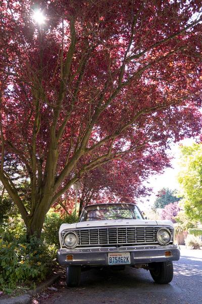 Máy ảnh Leica TL2 (Black) | Chính hãng