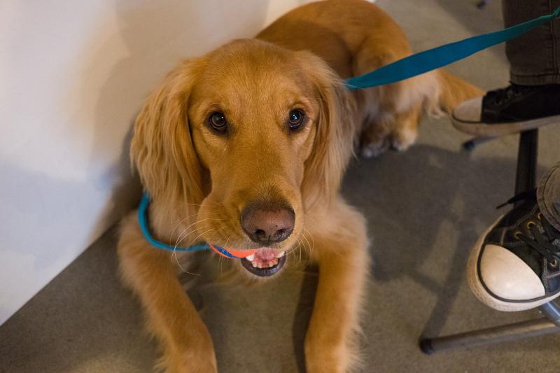 Máy ảnh Leica CL (Silver Body Only) | Chính hãng