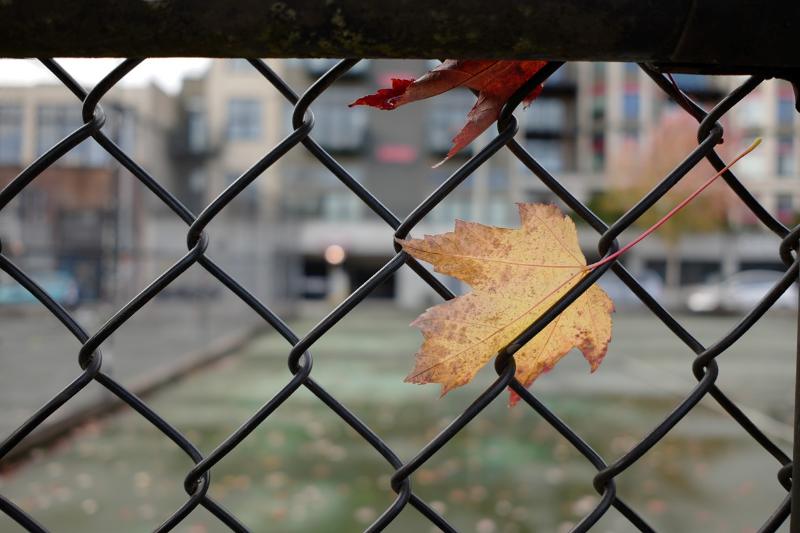 Máy ảnh Leica CL (Silver Body Only) | Chính hãng