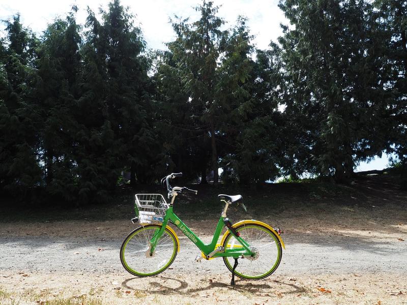 Máy ảnh Olympus OM-D E-M10 Mark III với ống kính 14-42mm II R (Black)