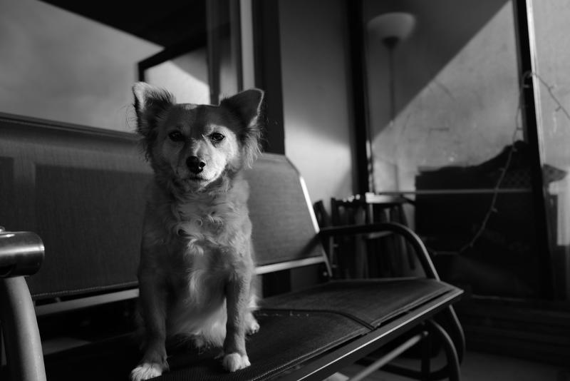 Máy ảnh Leica Q2 Monochrom