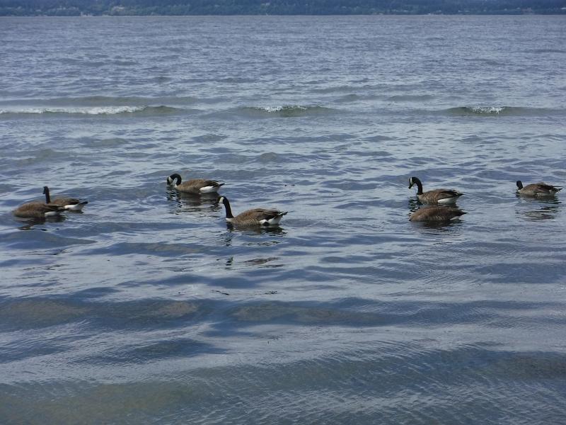 Máy ảnh Fujifilm FinePix XP130 (White) | Chính Hãng Máy ảnh Fujifilm FinePix XP130 (White) | Chính Hãng