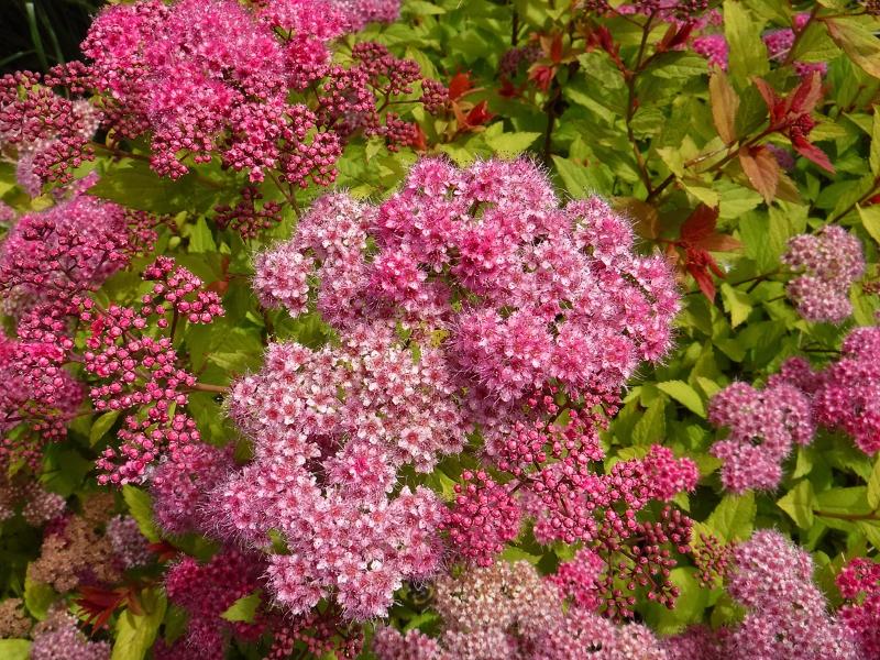 Máy ảnh Fujifilm FinePix XP130 (White) | Chính Hãng Máy ảnh Fujifilm FinePix XP130 (White) | Chính Hãng