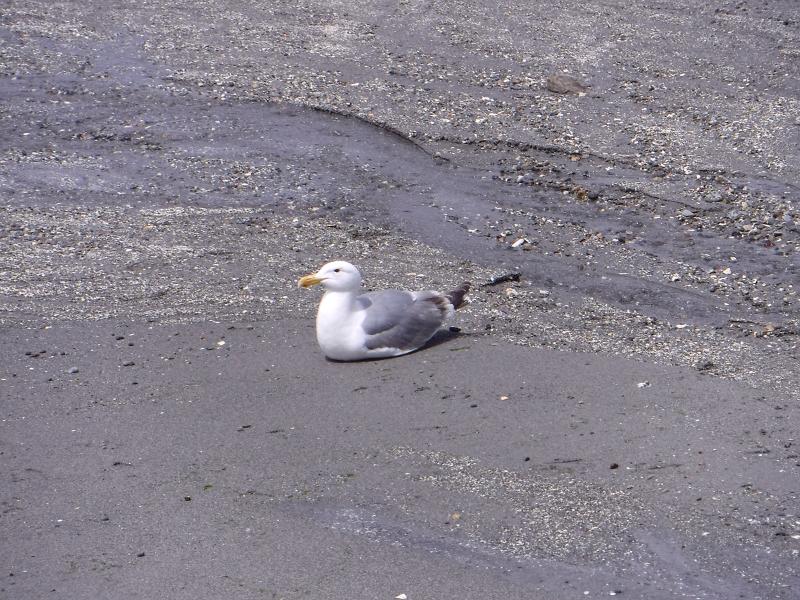 Máy ảnh Fujifilm FinePix XP130 Sky Blue