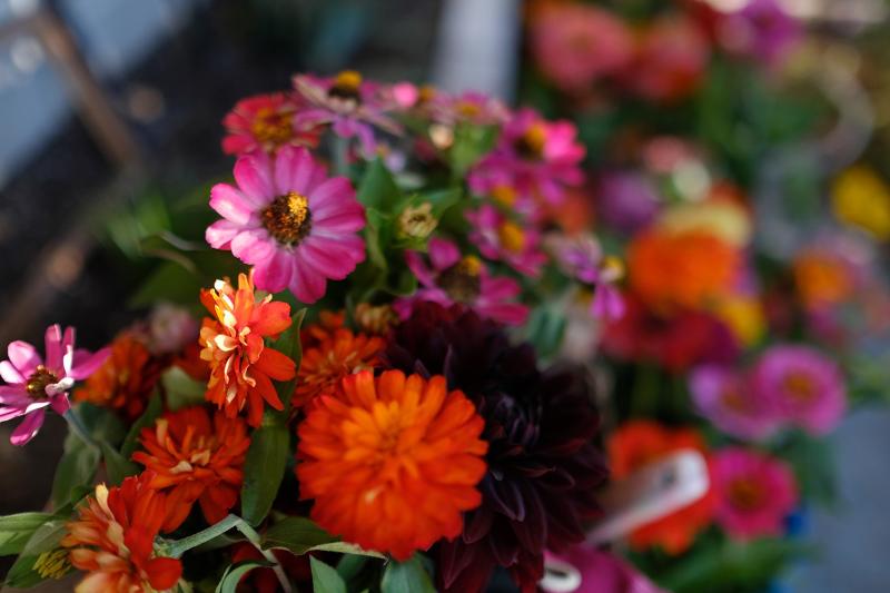 Máy ảnh Fujifilm X-T2 (Body Only) | Chính hãng