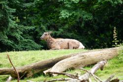 Máy ảnh Fujifilm X-A3