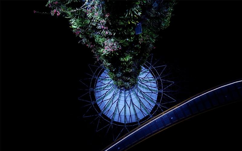 Máy ảnh Fujifilm X-A20