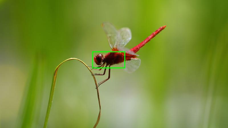 MÁY ẢNH SONY ALPHA A7R MARK V (Chính hãng)