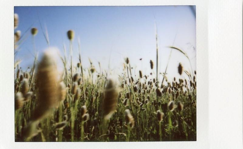 Máy ảnh Fujifilm Instax Mini 25 Máy ảnh Fujifilm Instax Mini 25