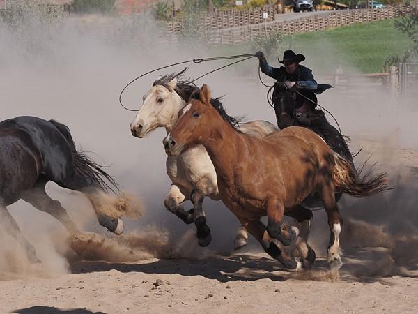 Máy Ảnh Olympus OM-D E-M5 Mark III Máy Ảnh Olympus OM-D E-M5 Mark III