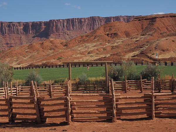 Máy Ảnh Olympus OM-D E-M5 Mark III Máy Ảnh Olympus OM-D E-M5 Mark III