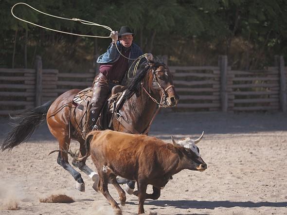 Máy Ảnh Olympus OM-D E-M5 Mark III Máy Ảnh Olympus OM-D E-M5 Mark III