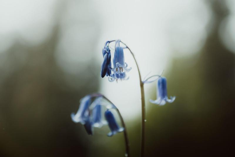 Ống kính SIGMA 28-45mm F1.8 DG DN Art for Sony E | Chính hãng