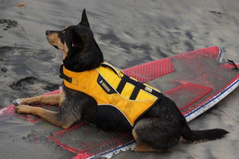 Máy Ảnh Sony NEX-7