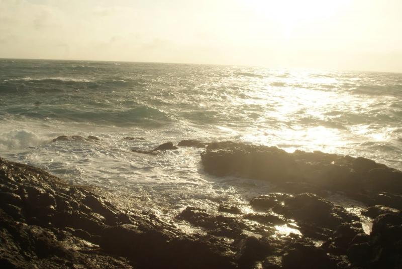 Máy Ảnh Sony A200