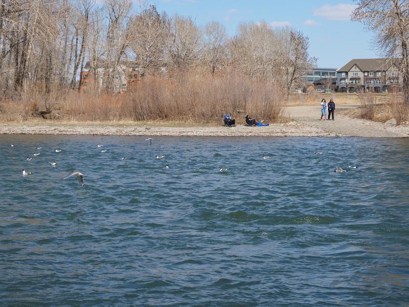 Máy ảnh OM SYSTEM OM-D E-M10 Mark IV (Body Only)