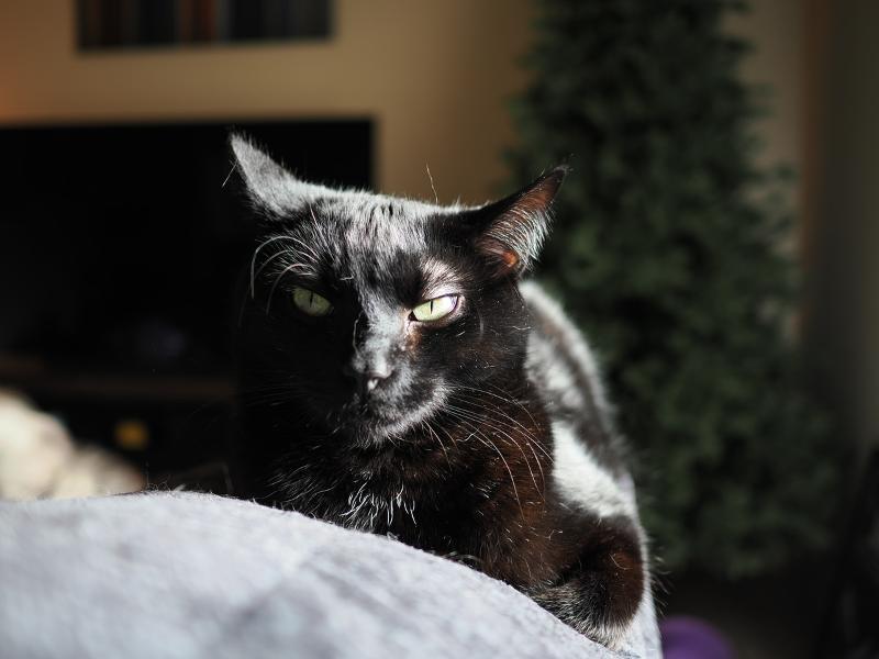 Máy ảnh OM SYSTEM OM-3 kèm M.Zuiko Digital 17mm f/1.8 II Kit