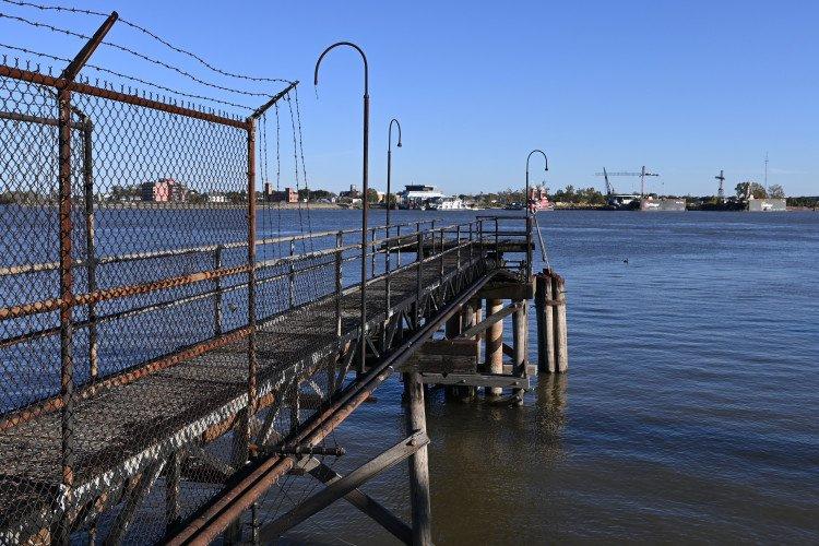 Máy ảnh Nikon Z50 (đen) kèm ống kính NIKKOR Z DX 16-50mm f/3.5-6.3 VR – chính hãng