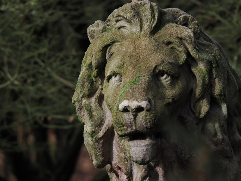 Máy ảnh OM-1 Mark II 12-40mm F2.8 PRO II Kit BLK Máy ảnh OM-1 Mark II 12-40mm F2.8 PRO II Kit BLK