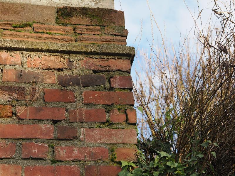 Máy ảnh OM-1 Mark II 12-40mm F2.8 PRO II Kit BLK Máy ảnh OM-1 Mark II 12-40mm F2.8 PRO II Kit BLK