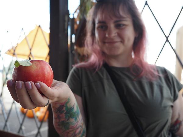 Máy ảnh OM SYSTEM OM-5 Mark II Body Black Máy ảnh OM SYSTEM OM-5 Mark II Body Black