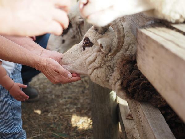 Máy ảnh OM SYSTEM OM-5 Mark II Body Black Máy ảnh OM SYSTEM OM-5 Mark II Body Black