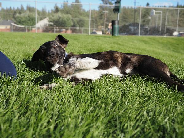 Máy ảnh OM SYSTEM OM-5 Mark II kèm 14-150 Kit (Black)