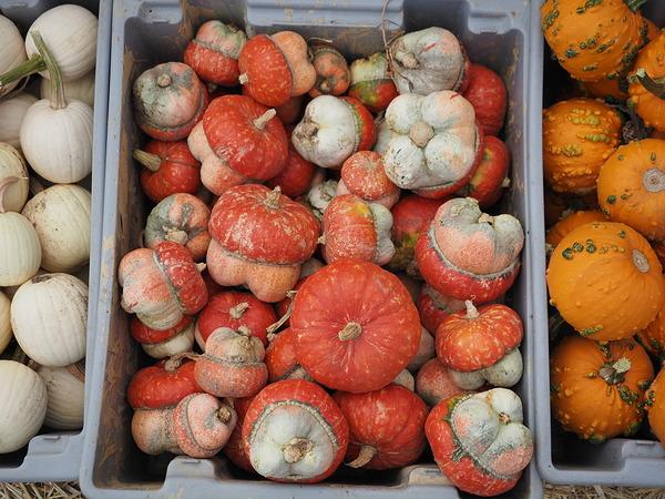 Máy ảnh OM SYSTEM OM-5 Mark II kèm 14-150 Kit (Black)