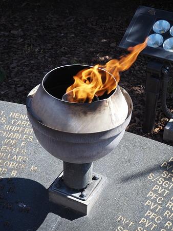 Máy ảnh OM-D E-M10 Mark IV Body Silver