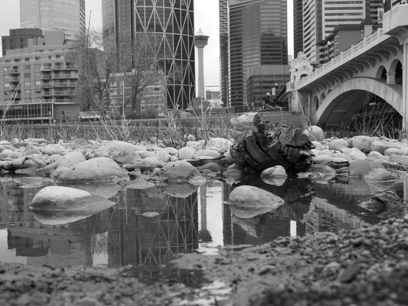 Máy ảnh OM-D E-M10 Mark IV 14-42mm EZ Kit Silver