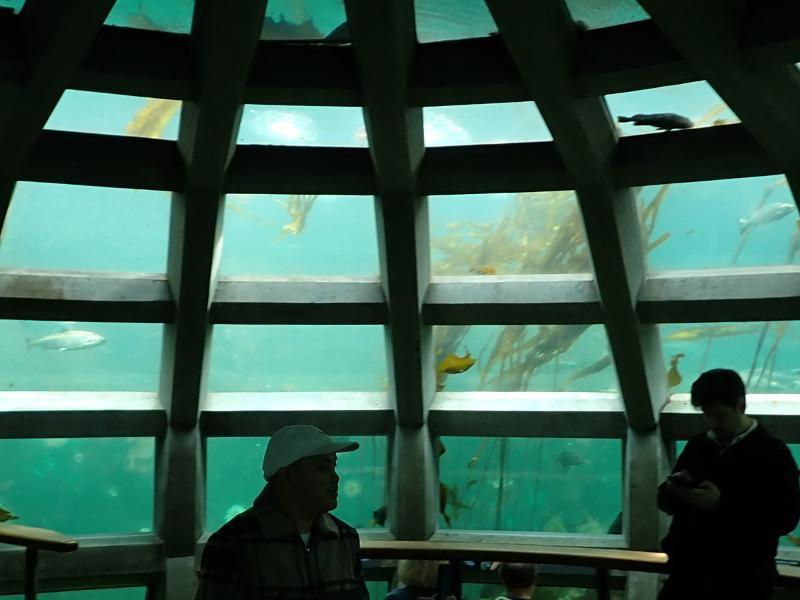 Máy ảnh Olympus Tough TG-7 Black Máy ảnh Olympus Tough TG-7 Black